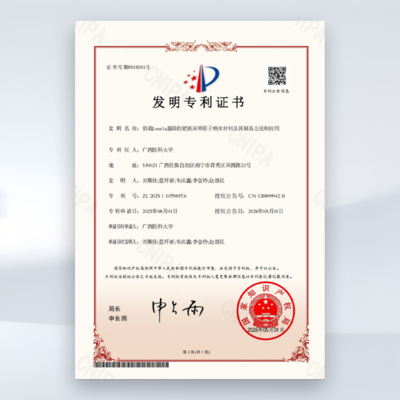 负载Lmx1a基因的钯铁双单原子纳米材料及其制备方法和应用